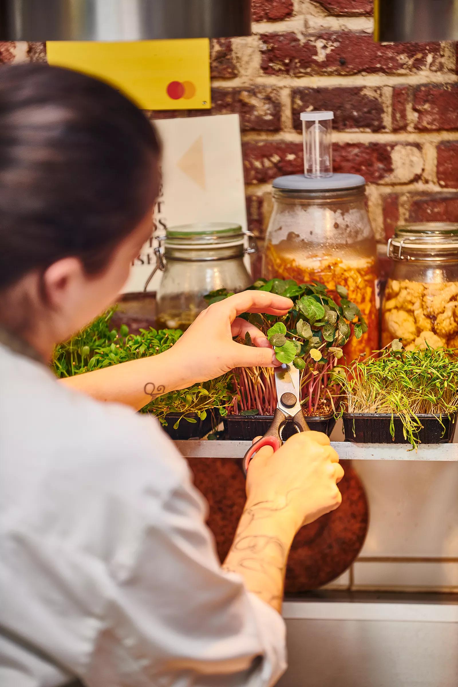 Top 5 Ways To Make Your Restaurant More Sustainable| Vandemoortele ...